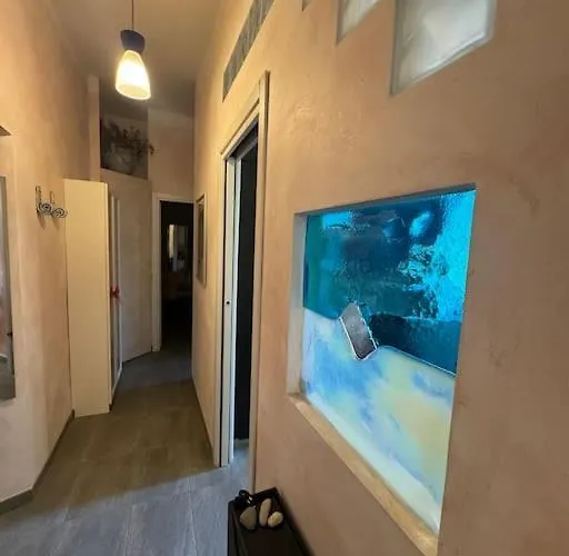 Domus Musei Vaticani Centro 