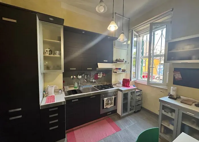 Domus Musei Vaticani Centro 